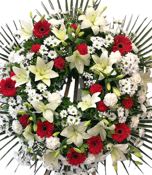 Corona Blanca y Roja
